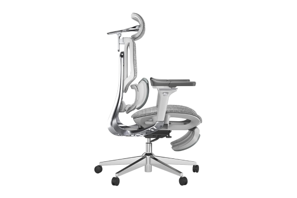 Ergonomic Chair